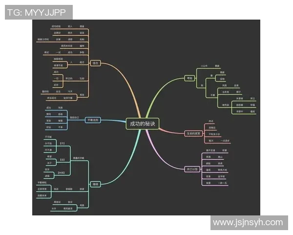 飞盘运动的崛起与吴丽的成功秘诀深度解析